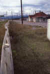 C Rockies 001 Sep-1981 Hinton.jpg (246551 bytes)