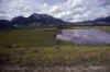 C Rockies 002 Sep-1981 into Jasper.jpg (153894 bytes)