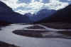 C Rockies 009 Sep-1981 Mt Kitchener.jpg (106785 bytes)