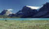 C Rockies 015 Sep-1981 Bow Lake cr.jpg (306941 bytes)