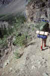 C Rockies 025 Sep-1981 Robson Hike.jpg (240248 bytes)