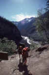 C Rockies 027 Sep-1981 Robson Hike.jpg (170042 bytes)