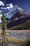 C Rockies 029 Sep-1981 Robson.jpg (183931 bytes)