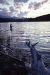 C Rockies 033 Sep-1981 Fishing.jpg (124808 bytes)