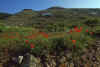 1997-05_France_180.jpg (400406 bytes)