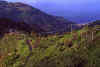 1999-05_Italy_341.jpg (337475 bytes)