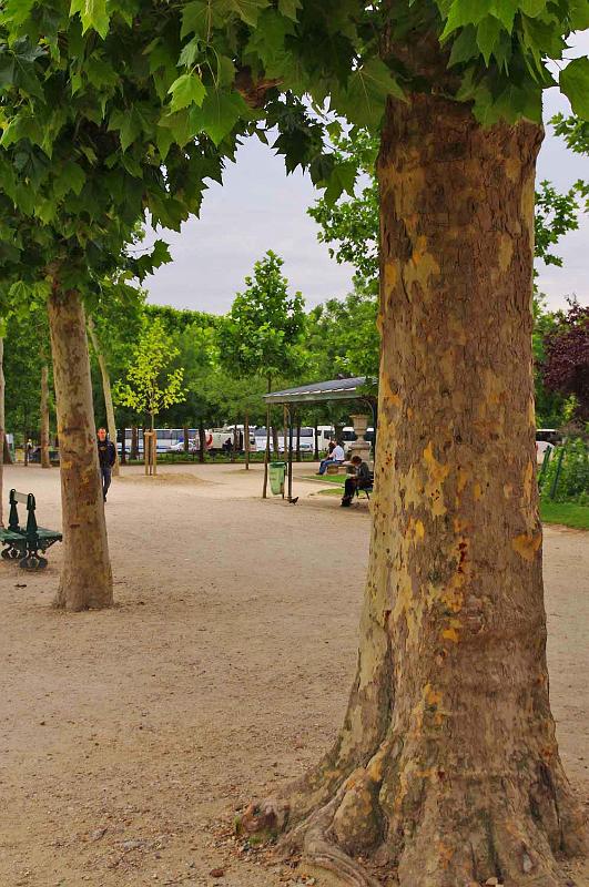 Paris_Champs_de_Mars_5.JPG