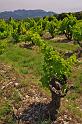 Cotes_du_Rhone_06