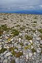 Ventoux_Top_02