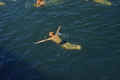 1952-3 Japan 138 Swimming in the ea nr unknown Island.jpg (109388 bytes)