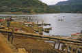 1952-53 Japan One of the Five Lakes 199.jpg (260737 bytes)