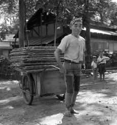 1952-53_Japan_Tachikawa_City_321.jpg (1360830 bytes)