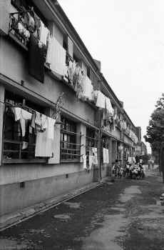 1952-53_Japan_Tokyo_Docks_037.jpg (455477 bytes)