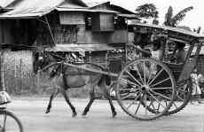 1952-53_Philippines_197.jpg (416947 bytes)