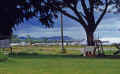 1952-53 Philippines 216 Clark AFB.jpg (226264 bytes)