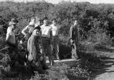 1953_Iwo_Jima_181.jpg (468775 bytes)