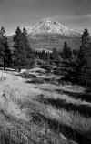 1953-Fall_Shasta_from_East_2.jpg (3382033 bytes)
