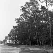 1951_Rhein-Main_Air_Force_Base_665.jpg (16376061 bytes)