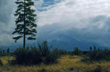 1953-11 Near Klamath Falls OR 314.jpg (1610930 bytes)