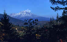 1953-11 Northern CA Mt Shasta  310.jpg (1758704 bytes)