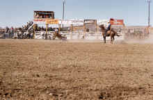 1953-54 Soap Lake Rodeo 372.jpg (2165951 bytes)