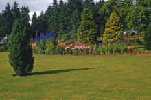 1953-54 Stanley Park Vancouver BC 379.jpg (2754659 bytes)