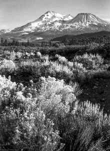 1953_Mount_Shasta_California_173.jpg (4927267 bytes)