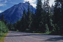 1954 Glacier National Park 385.jpg (2147830 bytes)