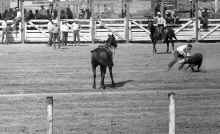 1954_early_Soap_Lake_WA_Rodeo_198.jpg (3521472 bytes)
