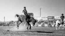1954_early_Soap_Lake_WA_Rodeo_212.jpg (2902662 bytes)