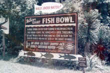 1956 Florida 394.jpg (4108829 bytes)