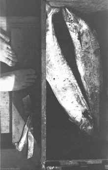 1957_Eglin_AFB_FL_Gulf_Fishing_252.jpg (4950624 bytes)