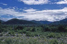 1958-07_Honeymoon_Mexico_045.jpg (1833012 bytes)