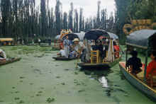 1958-07_Honeymoon_Mexico_076.jpg (1762334 bytes)