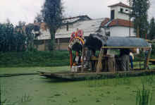 1958-07_Honeymoon_Mexico_077.jpg (1369392 bytes)