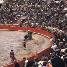 1958-07_Honeymoon_Mexico_092.jpg (1725808 bytes)