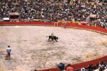 1958-07_Honeymoon_Mexico_093.jpg (1844692 bytes)