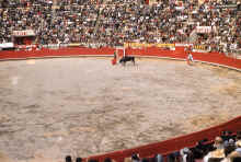 1958-07_Honeymoon_Mexico_096.jpg (2033610 bytes)