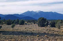 1961-02_JL_Blilie_Family_203_San_Fran_Pks_AZ.jpg (1706430 bytes)