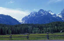 1963-06_JLBlilie_Family_300.jpg (1811966 bytes)