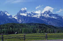 1963-06_JLBlilie_Family_301.jpg (1842600 bytes)