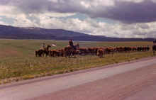 1963-06_JLBlilie_Family_326_Bighorn_Mtns.jpg (1799496 bytes)