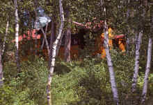 1963-07_JLBlilie_Family_335_Mitchell_Lk.jpg (2801027 bytes)