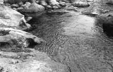 1964_Chelmsford_MA_074.jpg (5342253 bytes)