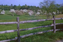 1965-04_JLBlilie_Family_381_ChelmsfordMA.jpg (2862330 bytes)