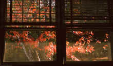 1966-10_JLBlilie_Family_432_Chelmsford.jpg (1760675 bytes)