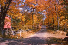 1966-10_JLBlilie_Family_434_Chelmsford.jpg (4471647 bytes)