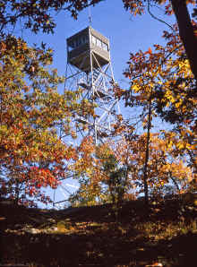 1966-10_JLBlilie_Family_435_Robin_Hill.jpg (4186907 bytes)