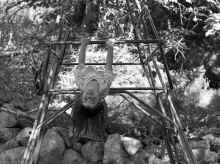 1966_Fall_Chelmsford_256.jpg (3101761 bytes)