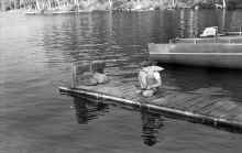 1966_June_Moosehead_Lake_274.jpg (4137219 bytes)